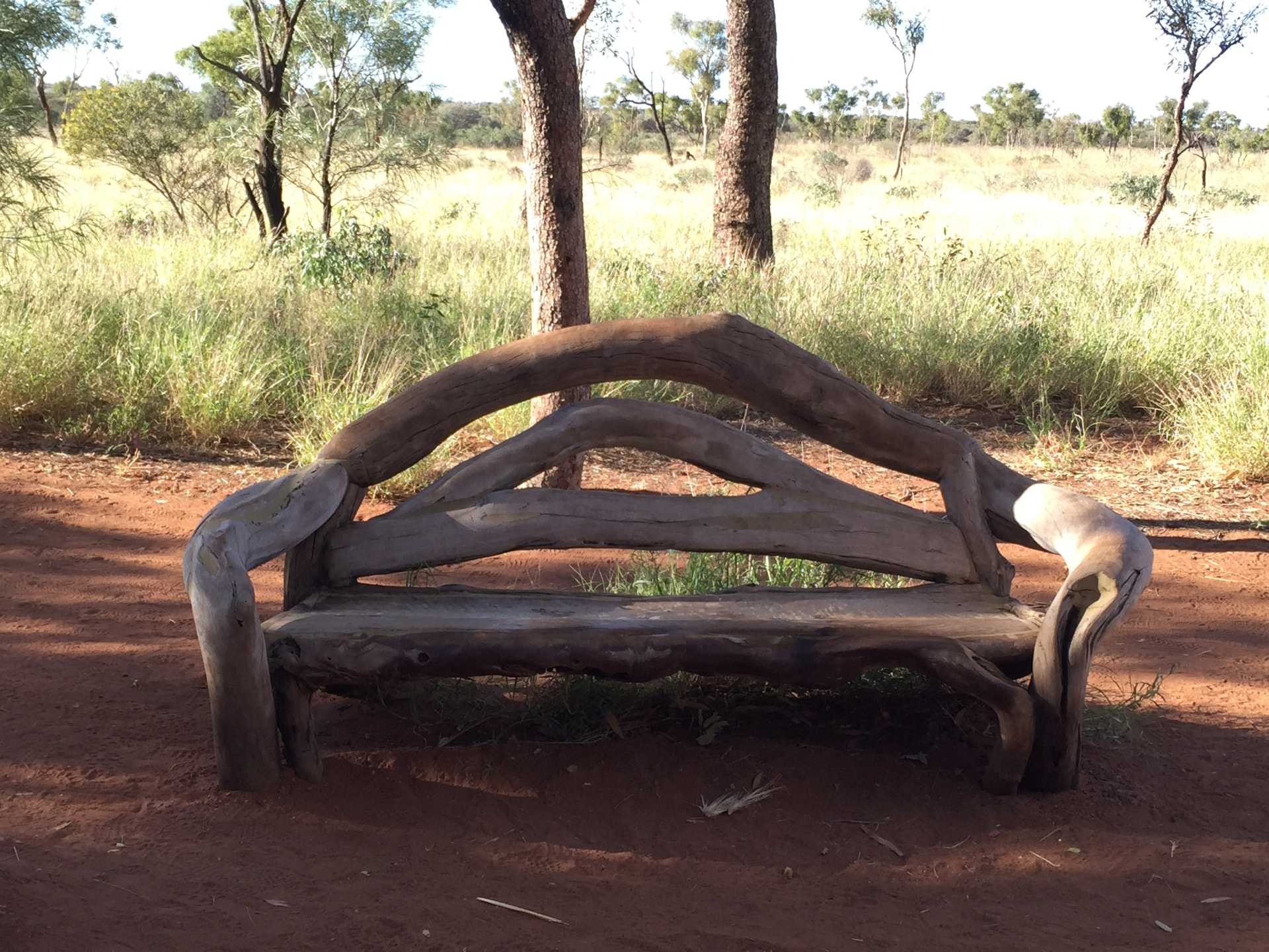 Einzeltherapie – eine Holzbank in ruhiger Naturlandschaft